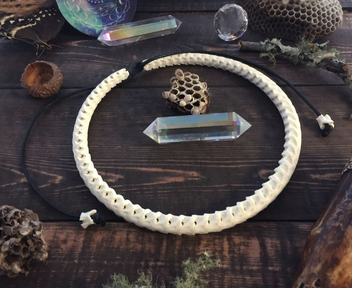 The Brianna Chocker in White: Real White Snake Vertebrae Choker Necklace, 7-12mm, 18 inches necklace, Bohemian, Juju, Oddities