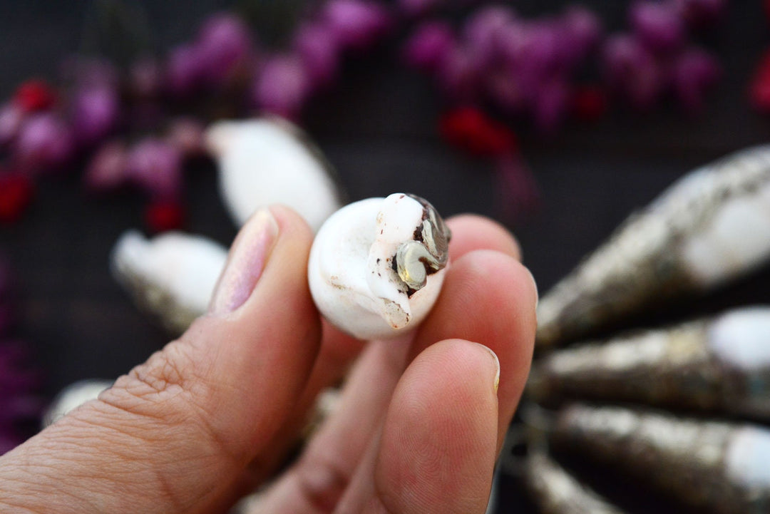 Drops in a Shell, 17x60mm, White Brass Seashell Nepali Pendant, One Pendant / Tibetan Jewelry, Yoga Jewelry, Nepal, Malas, Jewelry Supplies