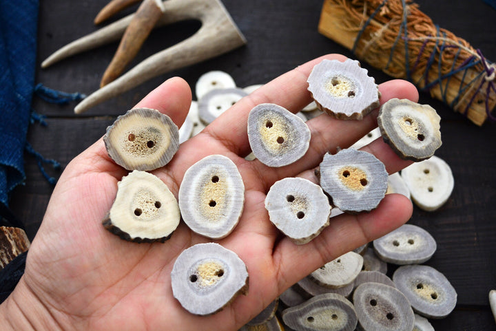 Deer Antlers: Naturally Shed Deer and Elk Antler BUTTONS, 1 pc x 30mm, average size (various shapes)