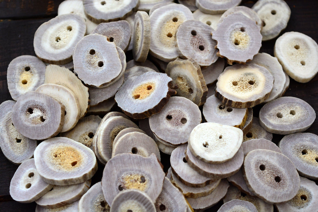 Deer Antlers: Naturally Shed Deer and Elk Antler BUTTONS, 1 pc x 30mm, average size (various shapes)