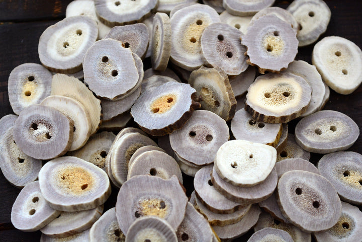 Deer Antlers: Naturally Shed Deer and Elk Antler BUTTONS, 1 pc x 30mm, average size (various shapes)