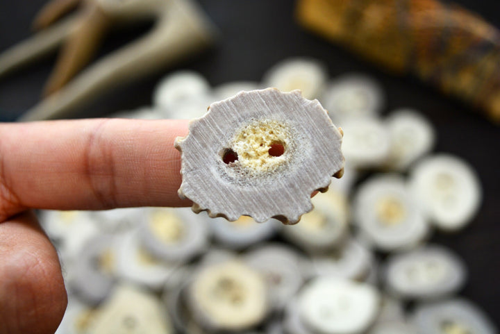 Deer Antlers: Naturally Shed Deer and Elk Antler BUTTONS, 1 pc x 30mm, average size (various shapes)