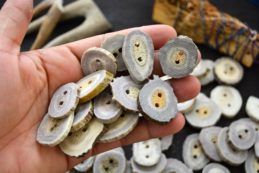 Deer Antlers: Naturally Shed Deer and Elk Antler BUTTONS, 1 pc x 30mm, average size (various shapes)
