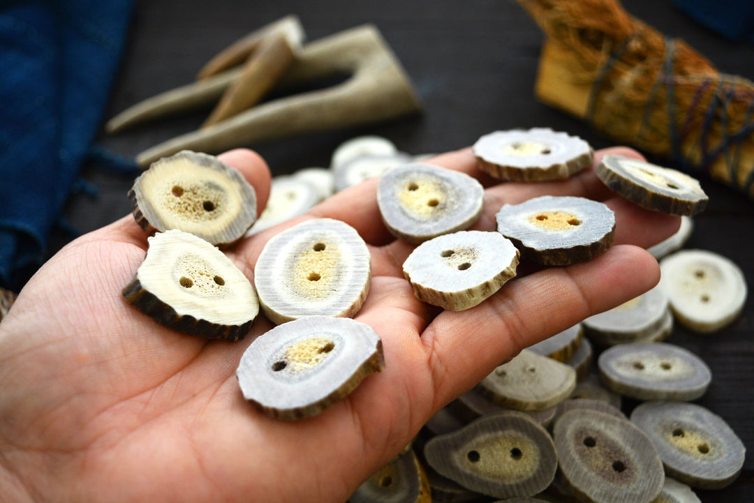 Deer Antlers: Naturally Shed Deer and Elk Antler BUTTONS, 1 pc x 30mm, average size (various shapes)