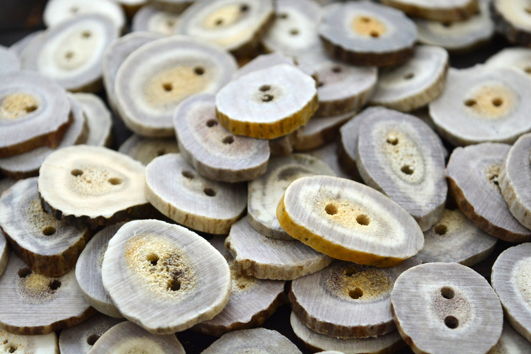 Deer Antlers: Naturally Shed Deer and Elk Antler BUTTONS, 1 pc x 30mm, average size (various shapes)