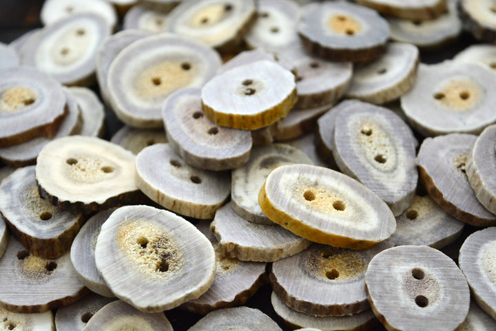 Deer Antlers: Naturally Shed Deer and Elk Antler BUTTONS, 1 pc x 30mm, average size (various shapes)