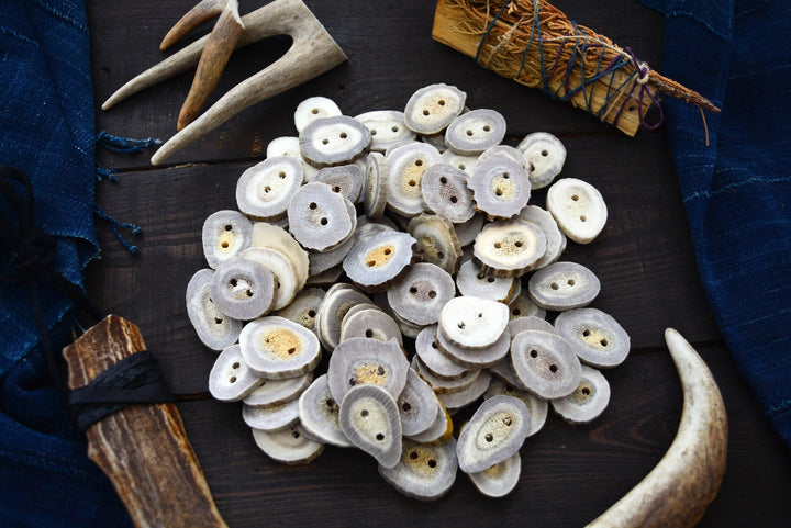 Deer Antlers: Naturally Shed Deer and Elk Antler BUTTONS, 1 pc x 30mm, average size (various shapes)