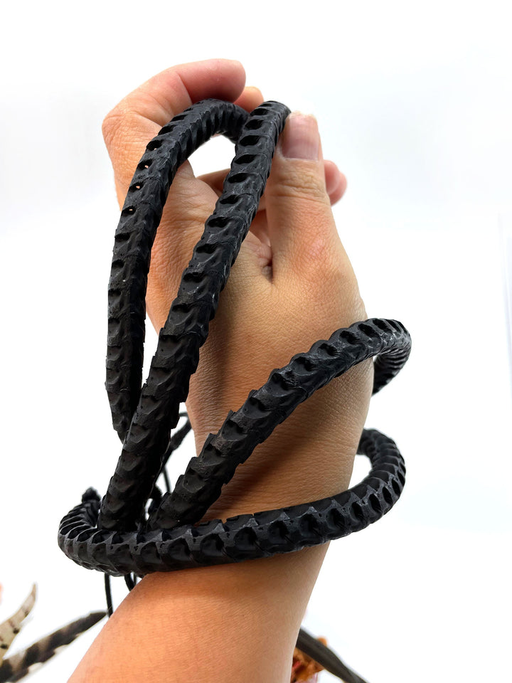 The Brianna Long Necklace: Long Snake Vertebrae Necklace in Black, Real Snake Vertebrae, 7-12mm, 35" plus, 90-100 beads, Tribal Jewelry