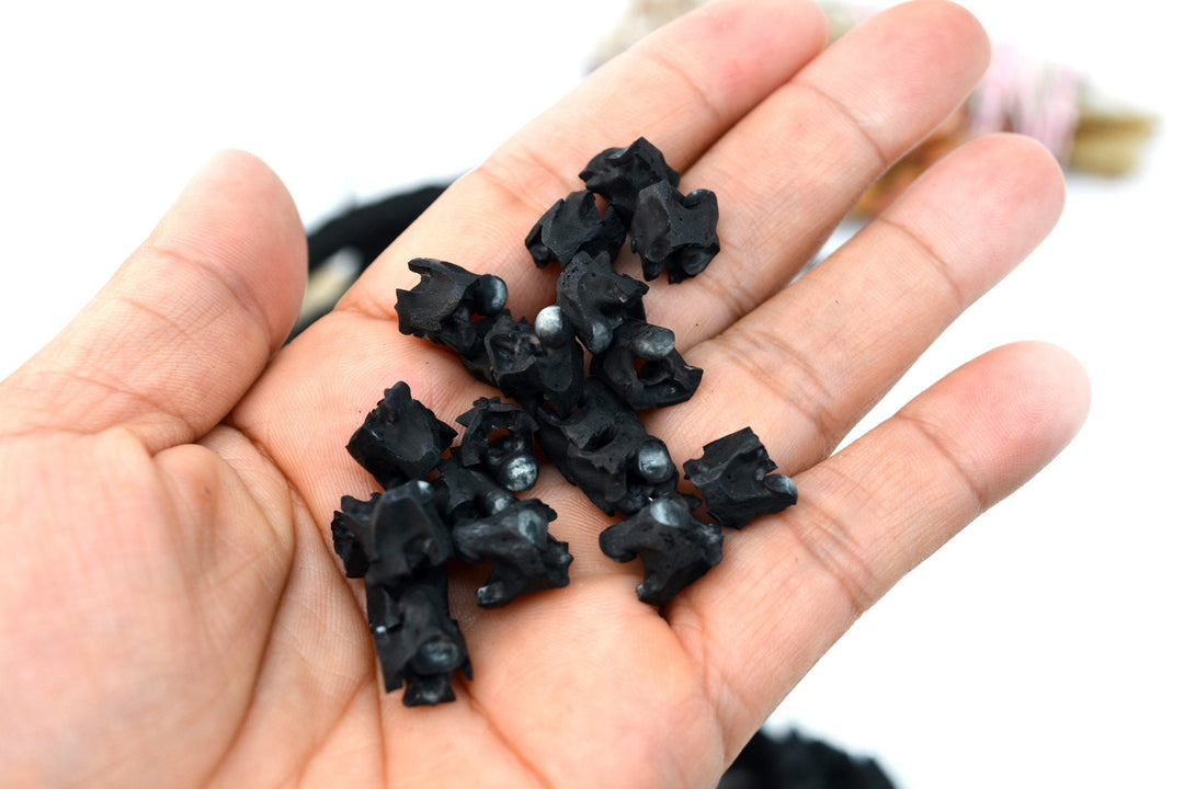 Real Black Snake Vertebrae, 7-12mm, 10 loose beads, Natural Large Hole Beads, Tribal, Bohemian, Juju, Oddities, Jewelry Making Supplies