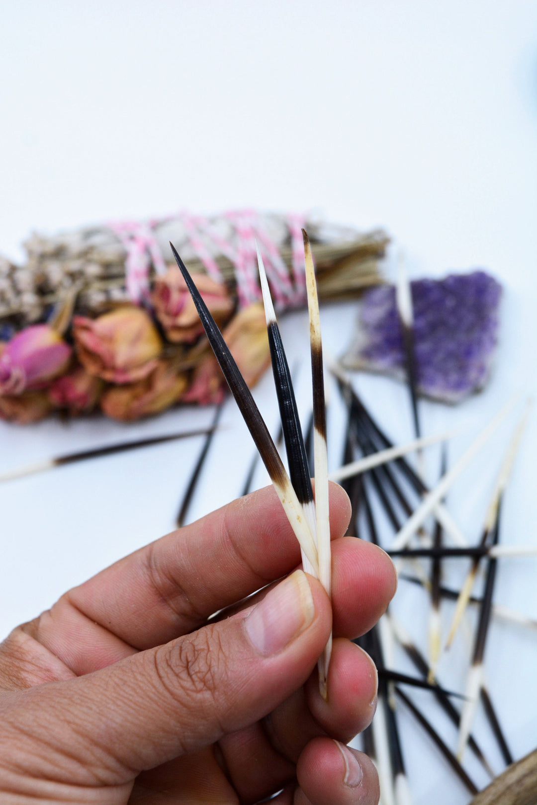 Authentic African Porcupine Quills – 5 Cruelty-Free Quills, 2-3" Tiny Quills for Quillwork (5 Pieces)