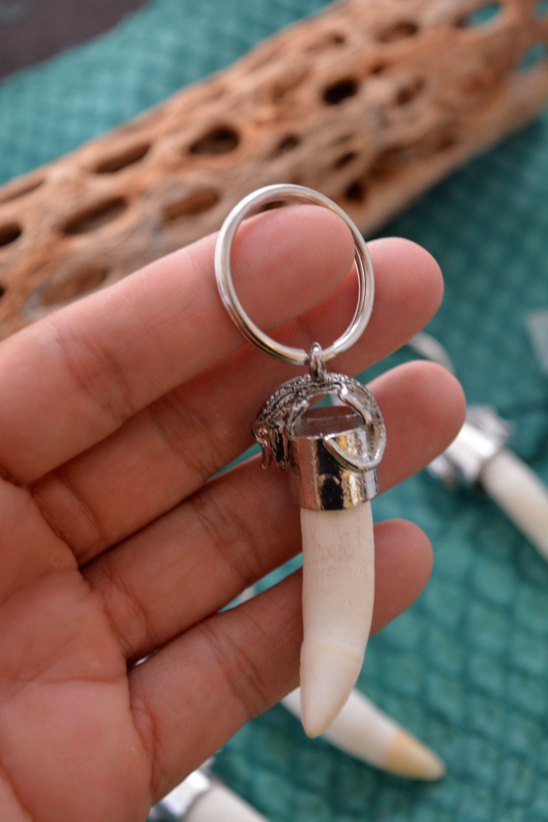 Gator Teeth: Naturally Shed Gator Tooth Keychain, 1 pc x 5.5" average / Alligator Teeth, Amulets, Shaman Tools, Gifts