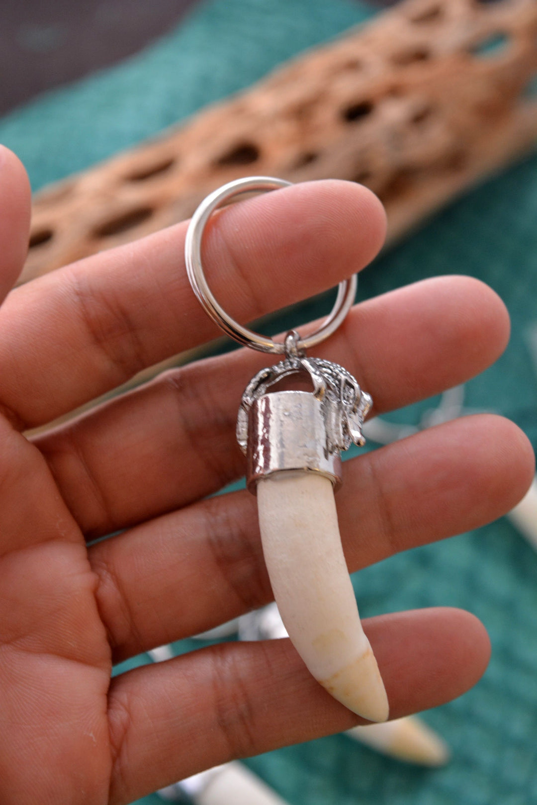 Gator Teeth: Naturally Shed Gator Tooth Keychain, 1 pc x 5.5" average / Alligator Teeth, Amulets, Shaman Tools, Gifts