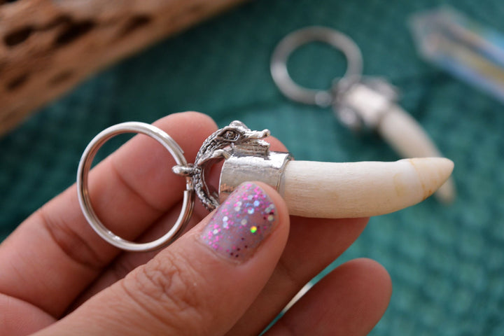 Gator Teeth: Naturally Shed Gator Tooth Keychain, 1 pc x 5.5" average / Alligator Teeth, Amulets, Shaman Tools, Gifts