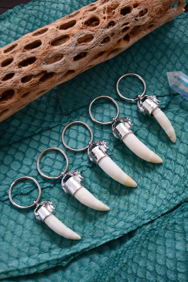 Gator Teeth: Naturally Shed Gator Tooth Keychain, 1 pc x 5.5" average / Alligator Teeth, Amulets, Shaman Tools, Gifts
