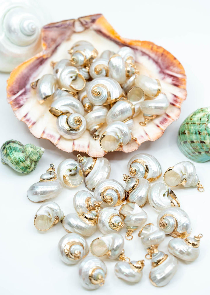 Gold Electroplated Pearl Turbo Shells for Jewelry Making, Sold by Each, Seashell Charms, Shell Necklace, Shell Earrings, Jewelry Supplies