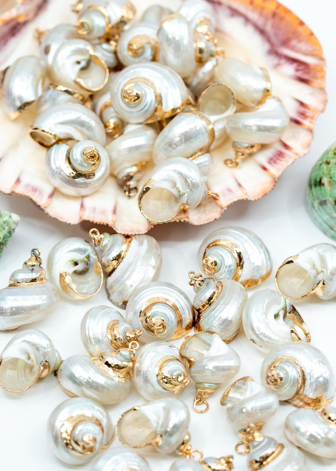 Gold Electroplated Pearl Turbo Shells for Jewelry Making, Sold by Each, Seashell Charms, Shell Necklace, Shell Earrings, Jewelry Supplies