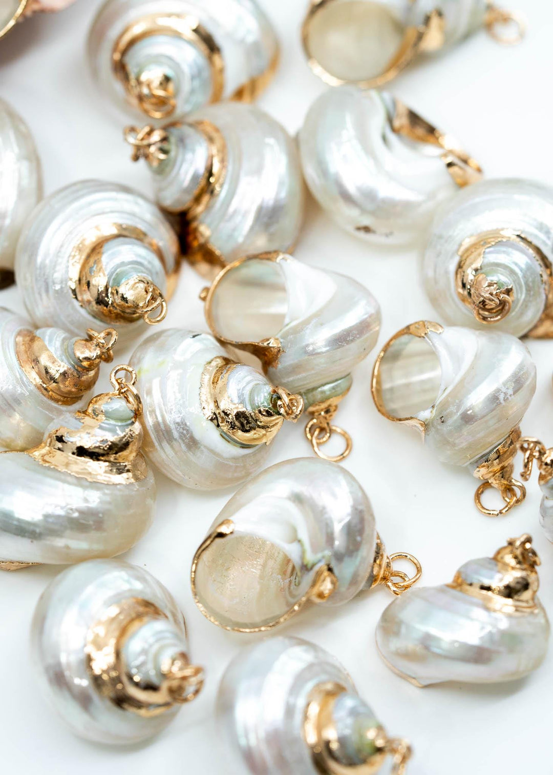 Gold Electroplated Pearl Turbo Shells for Jewelry Making, Sold by Each, Seashell Charms, Shell Necklace, Shell Earrings, Jewelry Supplies