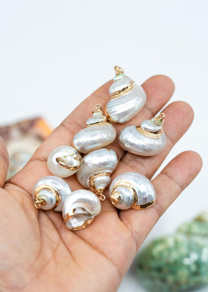 Gold Electroplated Pearl Turbo Shells for Jewelry Making, Sold by Each, Seashell Charms, Shell Necklace, Shell Earrings, Jewelry Supplies