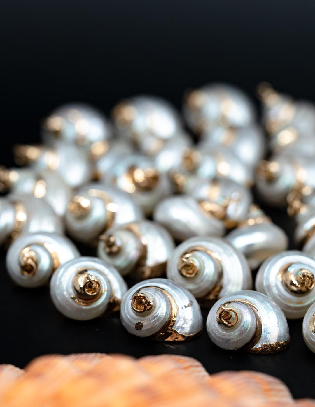 Gold Electroplated Pearl Turbo Shells, Sold by each, Shell Earrings, Shell Charms, Shell Necklace, Plated Shell Jewelry, Jewelry Supplies