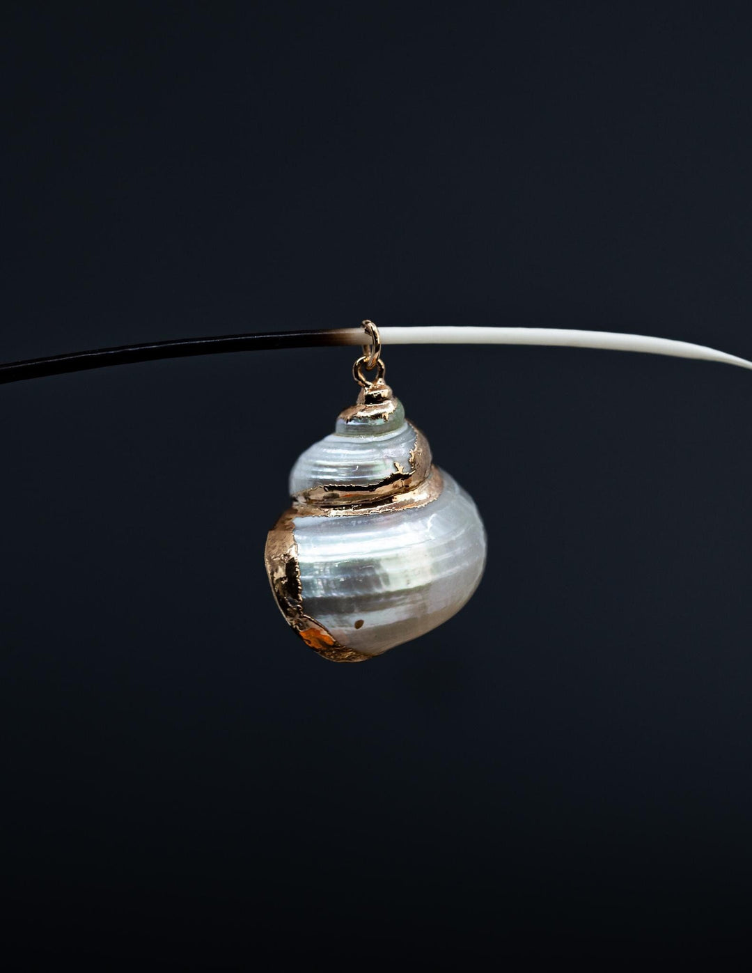 Gold Electroplated Pearl Turbo Shells, Sold by each, Shell Earrings, Shell Charms, Shell Necklace, Plated Shell Jewelry, Jewelry Supplies