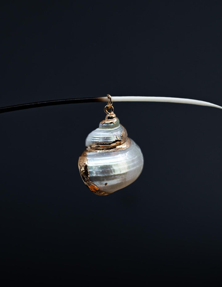 Gold Electroplated Pearl Turbo Shells, Sold by each, Shell Earrings, Shell Charms, Shell Necklace, Plated Shell Jewelry, Jewelry Supplies