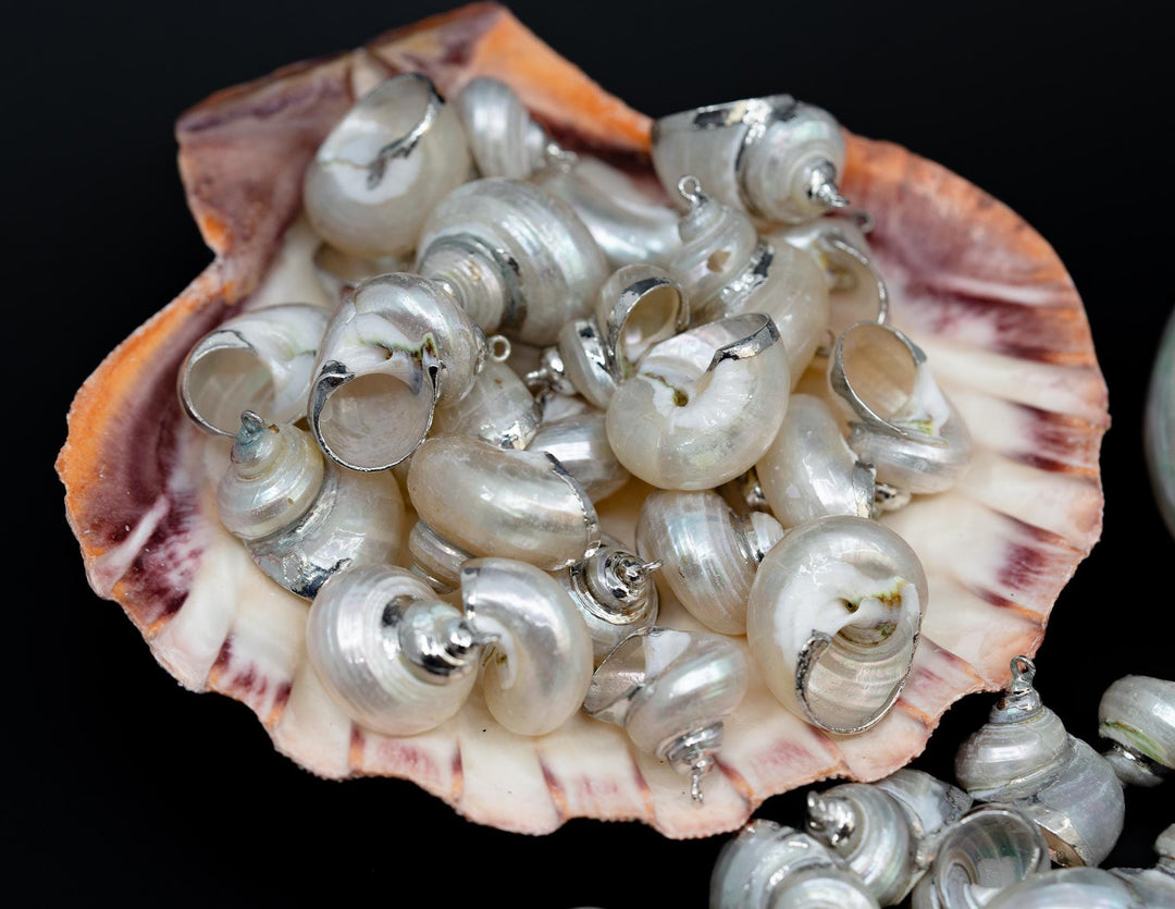 Silver Electroplated Pearl Turbo Shells, Sold by each, Shell Earrings, Shell Charms, Shell Necklace, Shell Jewelry, Jewelry Supplies