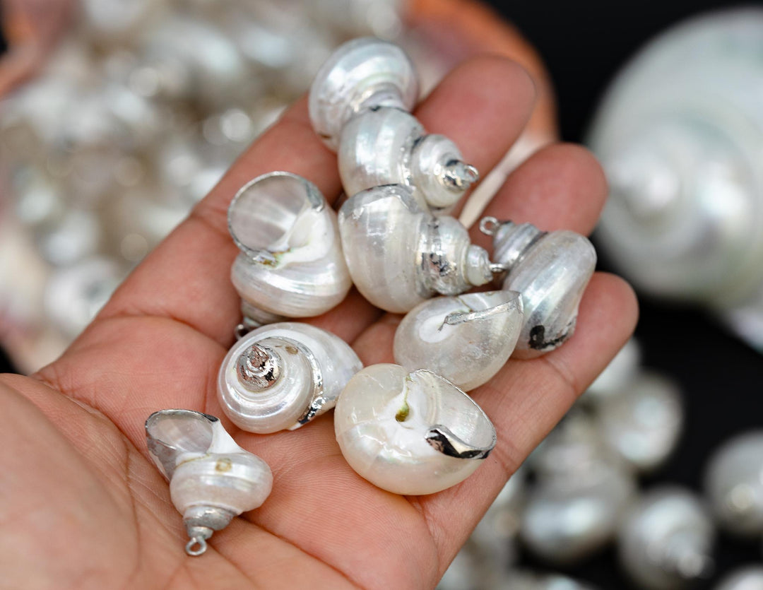 Silver Electroplated Pearl Turbo Shells, Sold by each, Shell Earrings, Shell Charms, Shell Necklace, Shell Jewelry, Jewelry Supplies