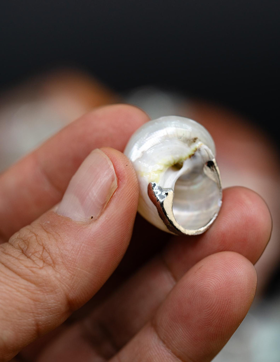 Silver Electroplated Pearl Turbo Shells, Sold by each, Shell Earrings, Shell Charms, Shell Necklace, Shell Jewelry, Jewelry Supplies