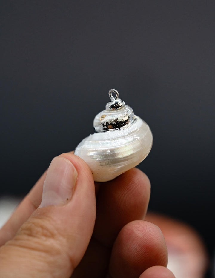 Silver Electroplated Pearl Turbo Shells, Sold by each, Shell Earrings, Shell Charms, Shell Necklace, Shell Jewelry, Jewelry Supplies