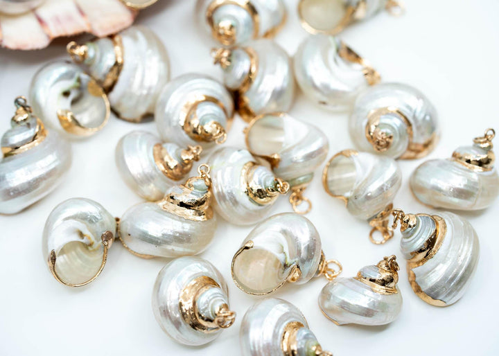 Gold Electroplated Pearl Turbo Shells for Jewelry Making, Sold by Each, Seashell Charms, Shell Necklace, Shell Earrings, Jewelry Supplies