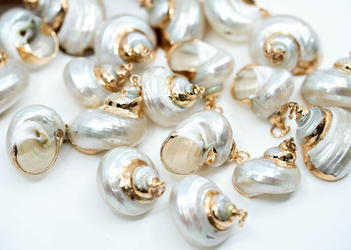 Gold Electroplated Pearl Turbo Shells for Jewelry Making, Sold by Each, Seashell Charms, Shell Necklace, Shell Earrings, Jewelry Supplies