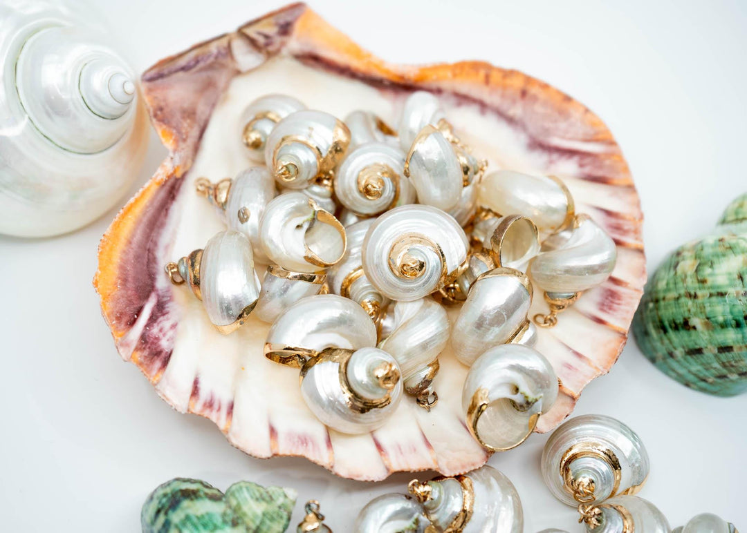 Gold Electroplated Pearl Turbo Shells for Jewelry Making, Sold by Each, Seashell Charms, Shell Necklace, Shell Earrings, Jewelry Supplies