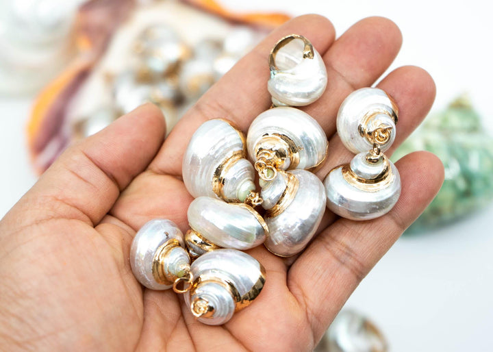 Gold Electroplated Pearl Turbo Shells for Jewelry Making, Sold by Each, Seashell Charms, Shell Necklace, Shell Earrings, Jewelry Supplies