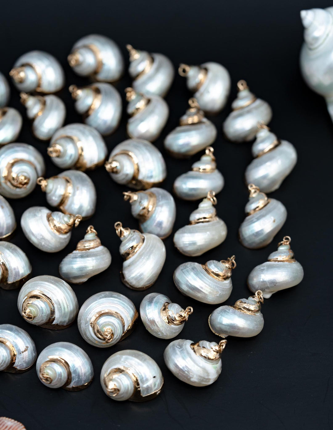 Gold Electroplated Pearl Turbo Shells, Sold by each, Shell Earrings, Shell Charms, Shell Necklace, Plated Shell Jewelry, Jewelry Supplies