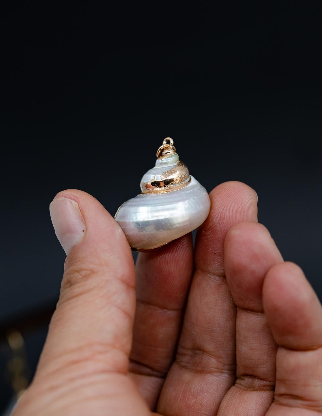 Gold Electroplated Pearl Turbo Shells, Sold by each, Shell Earrings, Shell Charms, Shell Necklace, Plated Shell Jewelry, Jewelry Supplies