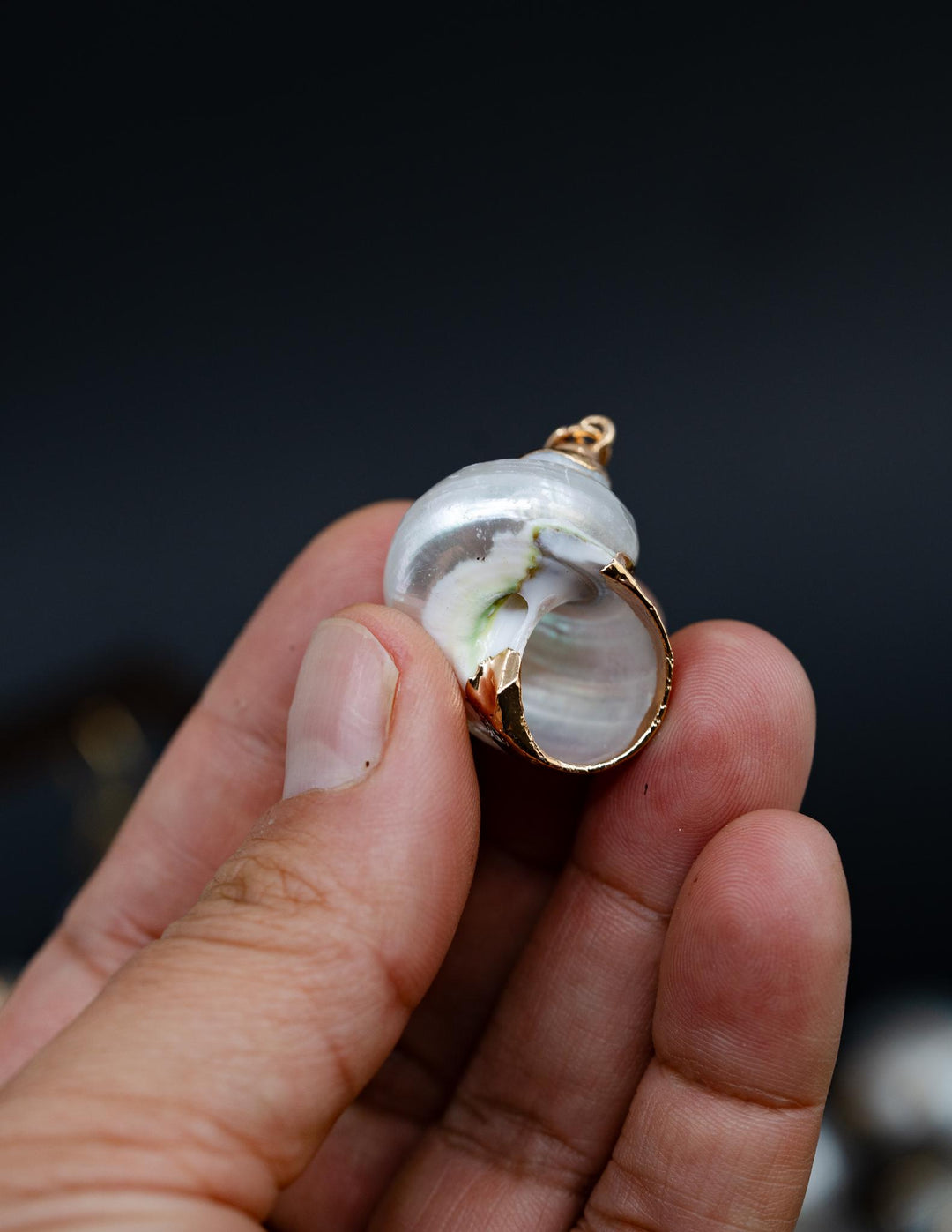 Gold Electroplated Pearl Turbo Shells, Sold by each, Shell Earrings, Shell Charms, Shell Necklace, Plated Shell Jewelry, Jewelry Supplies