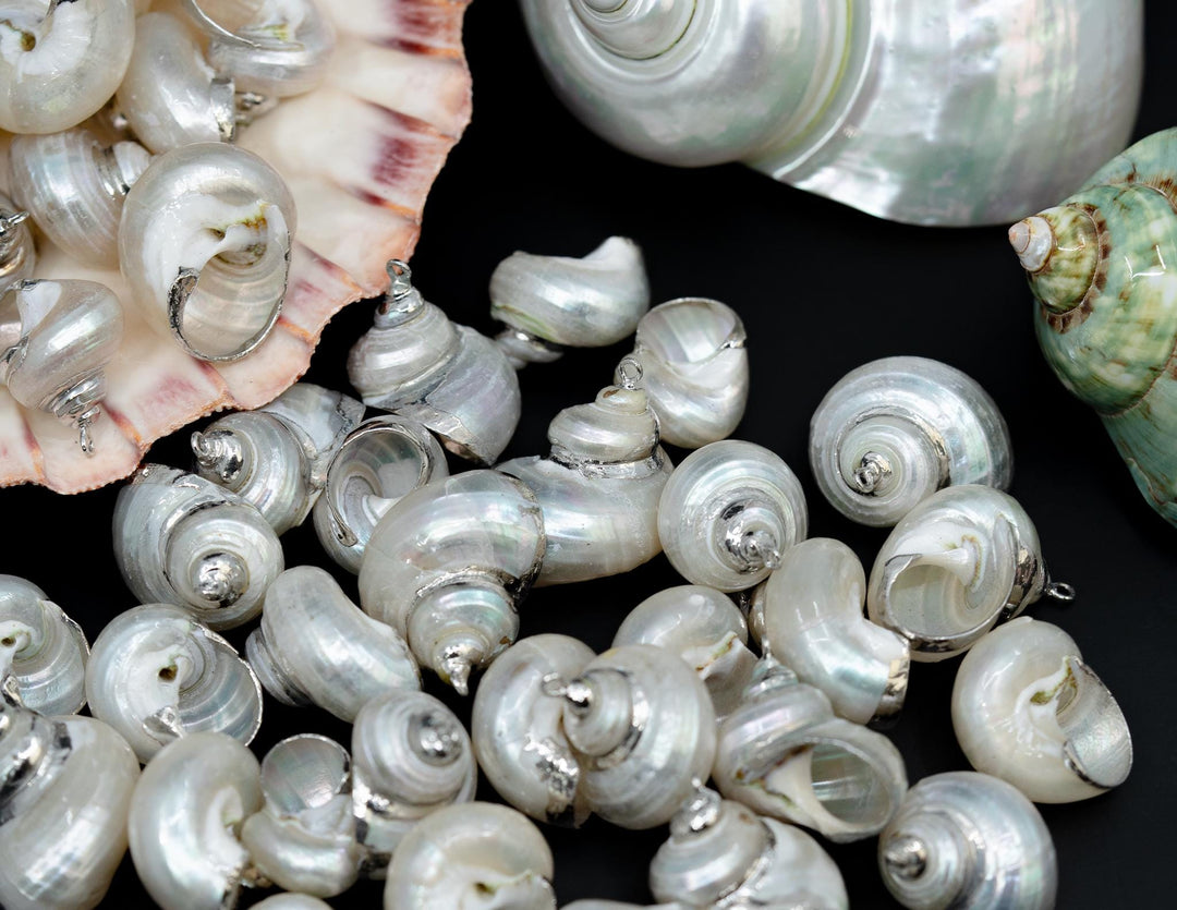 Silver Electroplated Pearl Turbo Shells, Sold by each, Shell Earrings, Shell Charms, Shell Necklace, Shell Jewelry, Jewelry Supplies