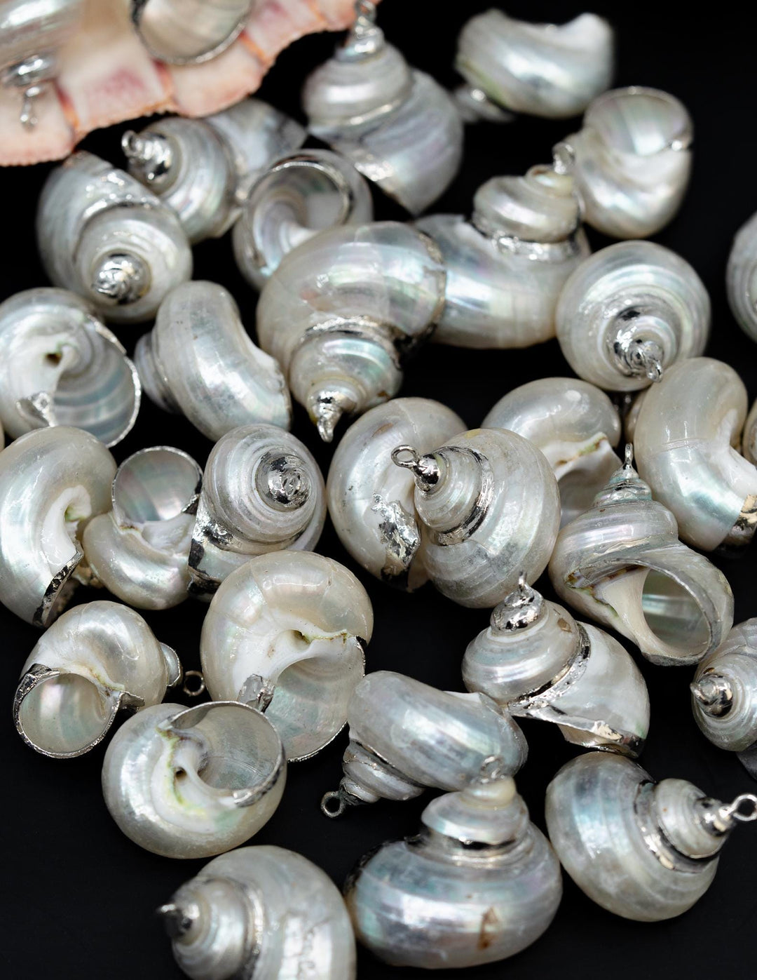 Silver Electroplated Pearl Turbo Shells, Sold by each, Shell Earrings, Shell Charms, Shell Necklace, Shell Jewelry, Jewelry Supplies