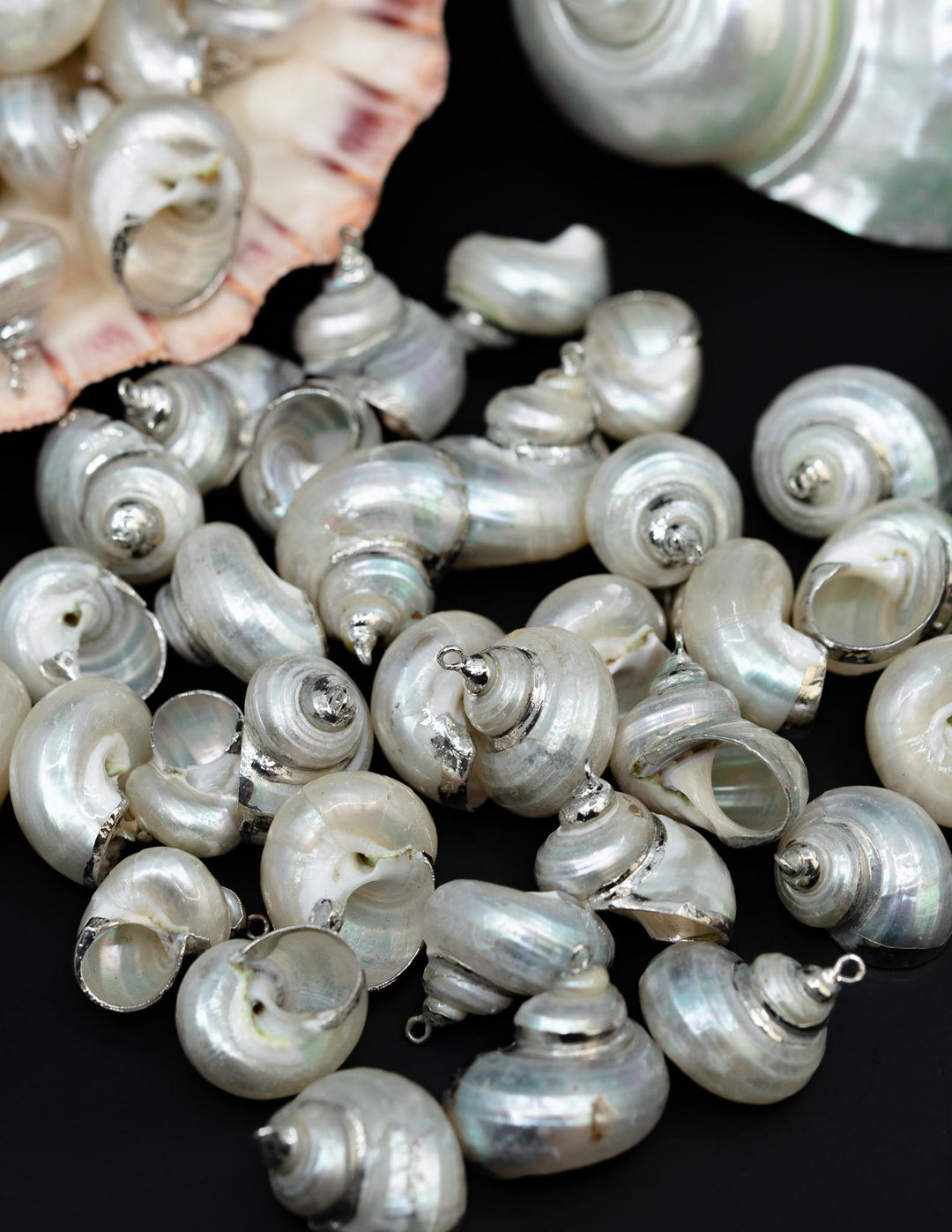 Silver Electroplated Pearl Turbo Shells, Sold by each, Shell Earrings, Shell Charms, Shell Necklace, Shell Jewelry, Jewelry Supplies