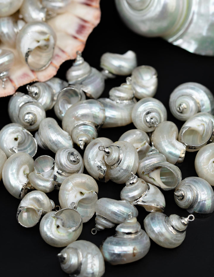 Silver Electroplated Pearl Turbo Shells, Sold by each, Shell Earrings, Shell Charms, Shell Necklace, Shell Jewelry, Jewelry Supplies