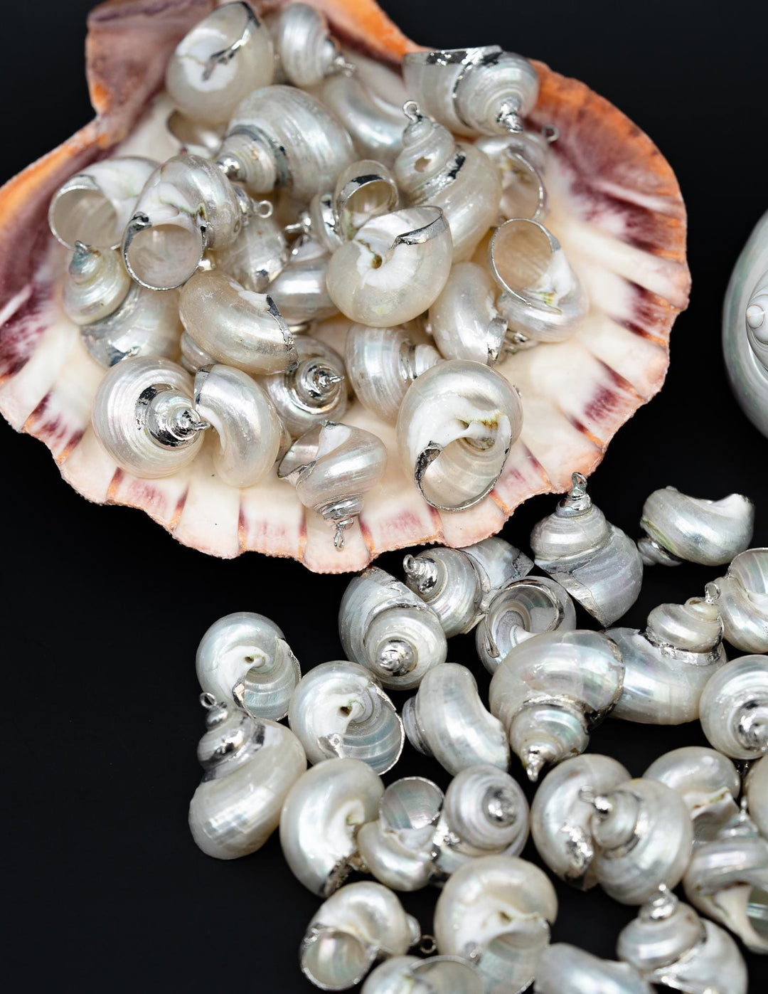 Silver Electroplated Pearl Turbo Shells, Sold by each, Shell Earrings, Shell Charms, Shell Necklace, Shell Jewelry, Jewelry Supplies