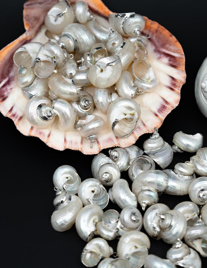 Silver Electroplated Pearl Turbo Shells, Sold by each, Shell Earrings, Shell Charms, Shell Necklace, Shell Jewelry, Jewelry Supplies