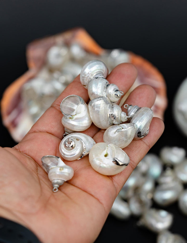 Silver Electroplated Pearl Turbo Shells, Sold by each, Shell Earrings, Shell Charms, Shell Necklace, Shell Jewelry, Jewelry Supplies