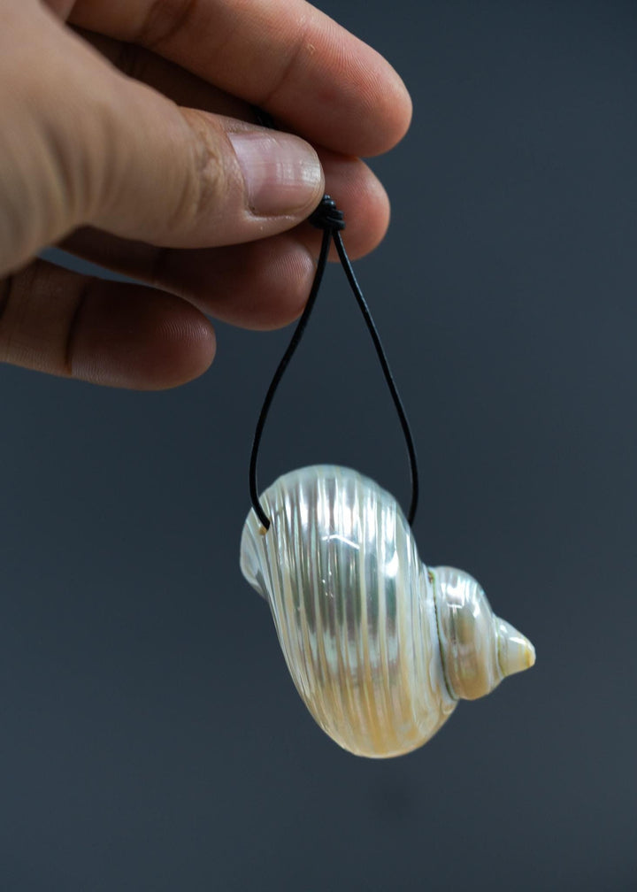 SIDE Drilled Turbo Shell Pendant, Two Hole Delphinula Shell, One Pearlized Seashell Charm