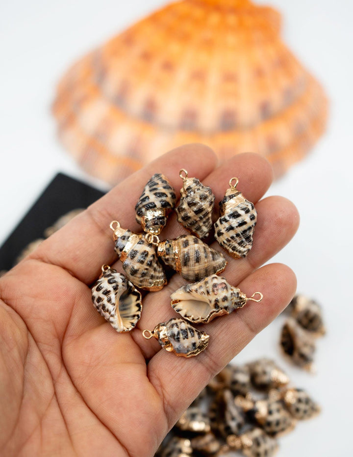 Spiral Shells: Gold Electroplated Spiral Speckled Shells for Jewelry Making, Sold by Each, Natural Seashell Charms, Beach Jewelry Supplies