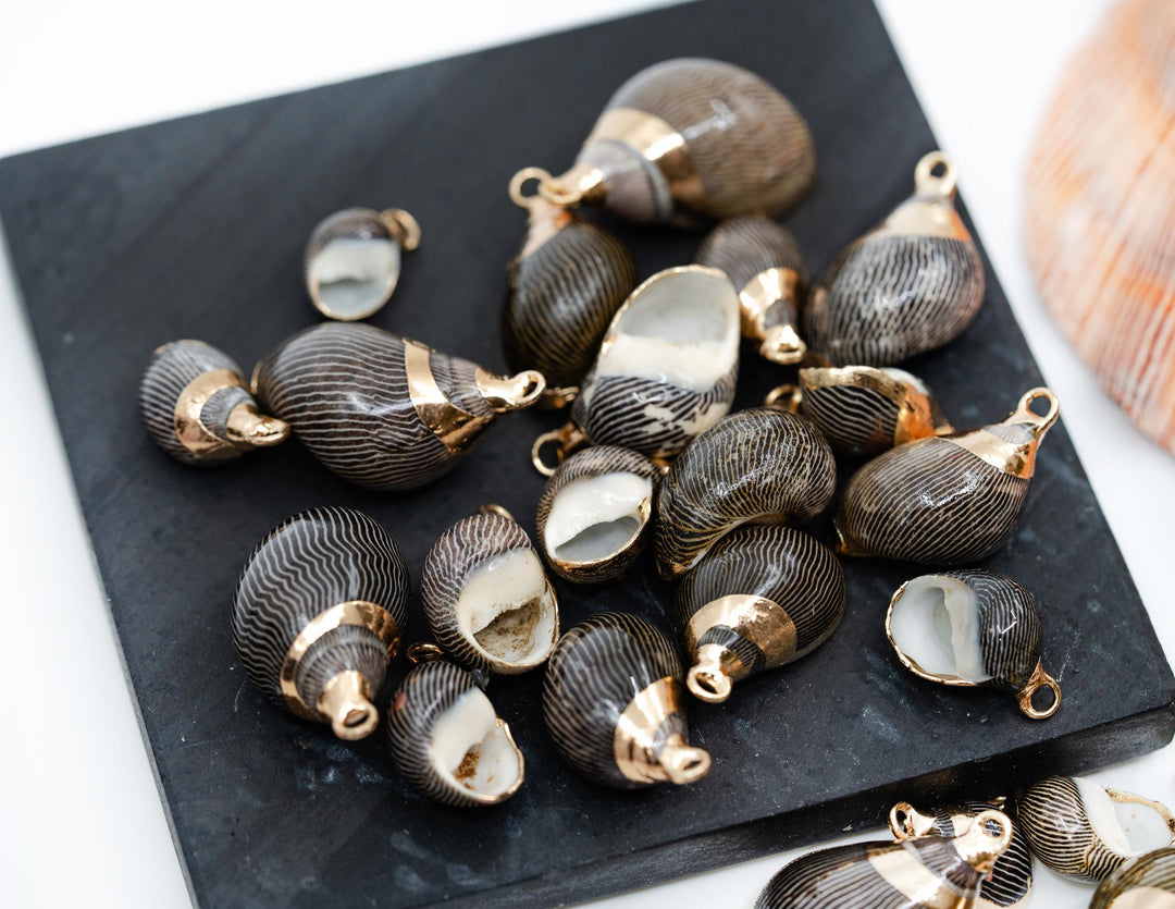 Spiral Shells: Zebra Gold Electroplated Spiral Shells for Jewelry Making, Sold by Each, Natural Seashell Charms, Jewelry Supplies