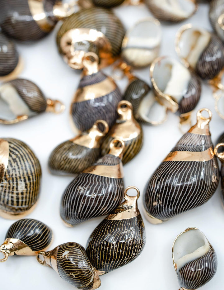 Spiral Shells: Zebra Gold Electroplated Spiral Shells for Jewelry Making, Sold by Each, Natural Seashell Charms, Jewelry Supplies