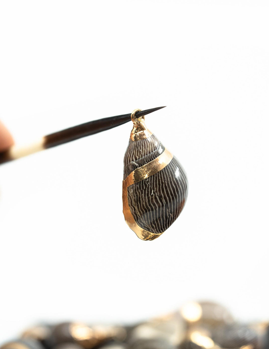 Spiral Shells: Zebra Gold Electroplated Spiral Shells for Jewelry Making, Sold by Each, Natural Seashell Charms, Jewelry Supplies