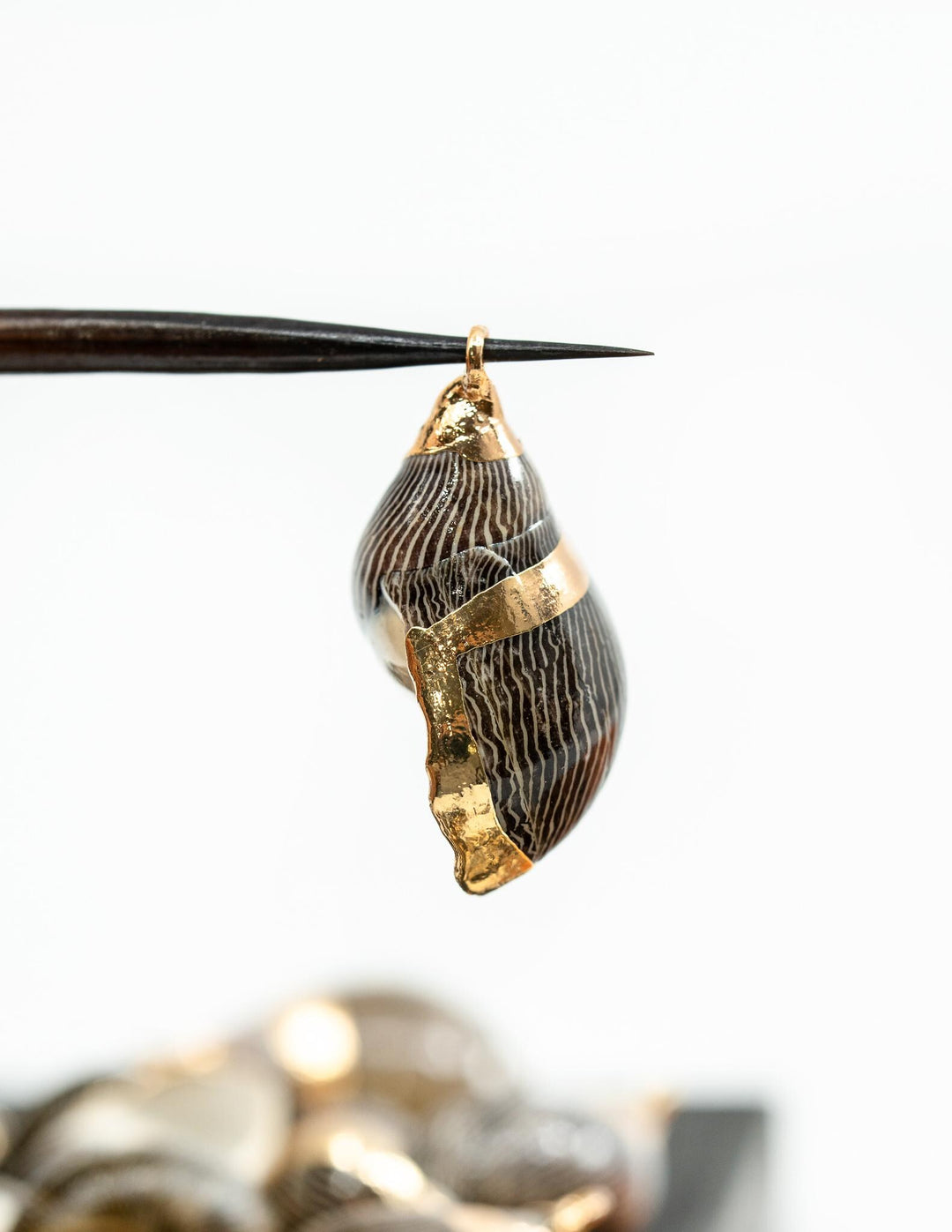 Spiral Shells: Zebra Gold Electroplated Spiral Shells for Jewelry Making, Sold by Each, Natural Seashell Charms, Jewelry Supplies