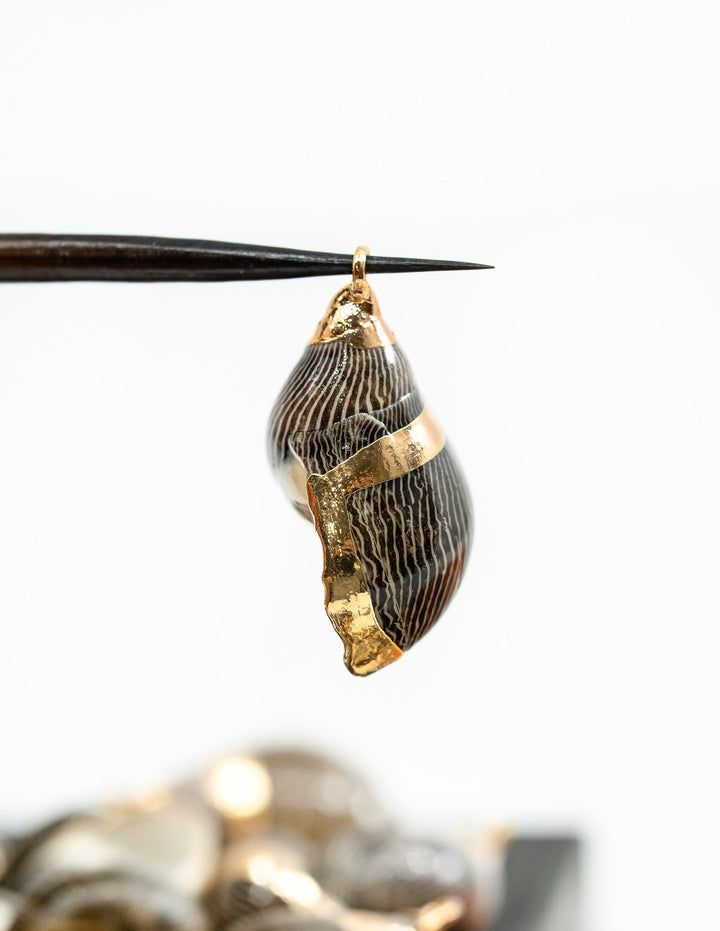 Spiral Shells: Zebra Gold Electroplated Spiral Shells for Jewelry Making, Sold by Each, Natural Seashell Charms, Jewelry Supplies